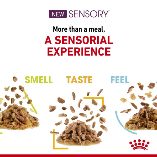 Royal Canin CAT (FHN) Sensory [Multi-Pack : Smell + Taste + Feel] Gravy 貓感系列 混合裝 營養主食濕糧(肉汁) 三味各四包 (3168300) 85g X12原盒 (原裝行貨)